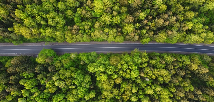Aerial view of a road among trees.